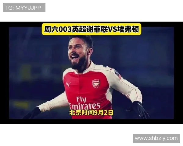 谢菲联与埃弗顿对决分析及双方近期状态评估 谢菲联与埃弗顿对决分析及双方近期状态评估